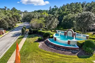 19744 Fort King Run, Brooksville, FL 34601 - Photo 67