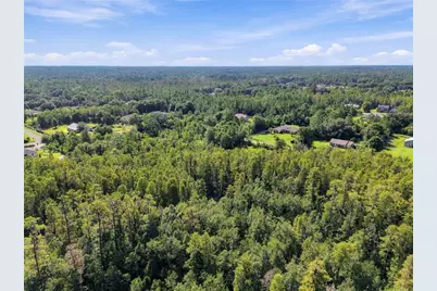 26633 Pheasant Run, Wesley Chapel, FL 33544 - Photo 49