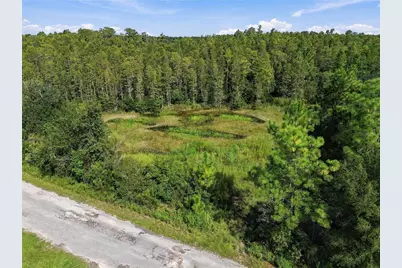 26633 Pheasant Run, Wesley Chapel, FL 33544 - Photo 7