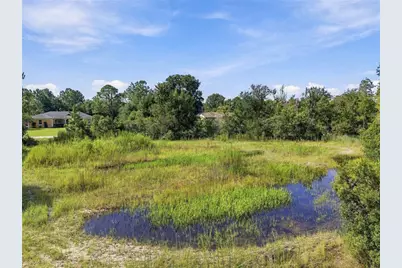 26633 Pheasant Run, Wesley Chapel, FL 33544 - Photo 29