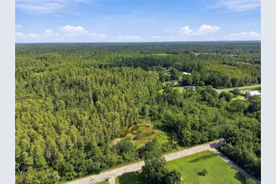 26633 Pheasant Run, Wesley Chapel, FL 33544 - Photo 41
