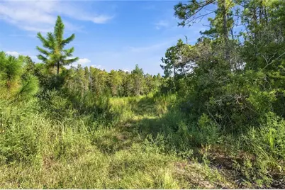 26633 Pheasant Run, Wesley Chapel, FL 33544 - Photo 9