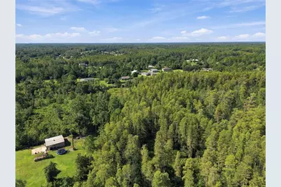 26633 Pheasant Run, Wesley Chapel, FL 33544 - Photo 17