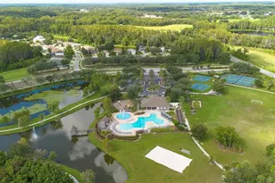 23036 Wood Violet Ct, Land O Lakes, FL 34639 - Photo 35