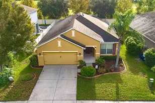 23036 Wood Violet Ct, Land O Lakes, FL 34639 - Photo 29