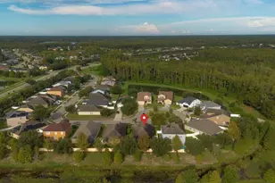 23036 Wood Violet Ct, Land O Lakes, FL 34639 - Photo 37