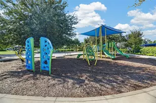 9125 Warm Spgs Cir, Parrish, FL 34219 - Photo 69