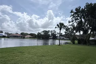 5440 Lady Bug Ln, Wesley Chapel, FL 33543 - Photo 9