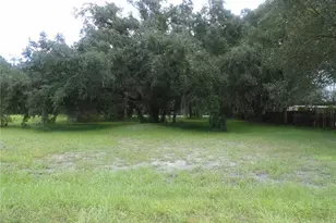 East St, Mulberry, FL 33860 - Photo 1
