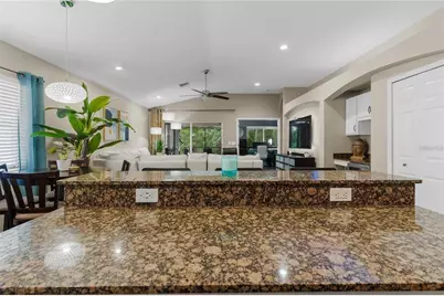 25354 Geddy Drive, Land O Lakes, FL 34639 - Photo 21