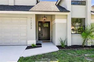 11233 Elmfield Dr, Tampa, FL 33625 - Photo 5