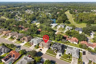2656 Saddlewood Ln, Palm Harbor, FL 34685 - Photo 49