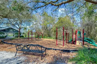 5513 Keeler Oak St, Lithia, FL 33547 - Photo 63