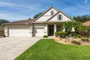 7513 Kickliter Ln, Land O Lakes, FL 34637 - Photo 1