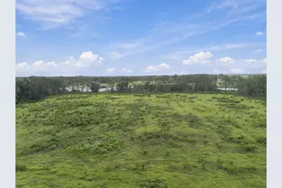 8989 Ehren Cutoff, Land O Lakes, FL 34639 - Photo 9