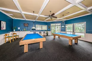 1081 S Pointe Alexis Dr, Tarpon Springs, FL 34689 - Photo 33