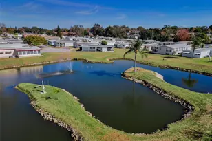 3207 Brewster Dr, Holiday, FL 34690 - Photo 65