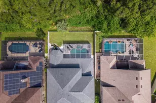 11621 Renaissance View Ct, Tampa, FL 33626 - Photo 3
