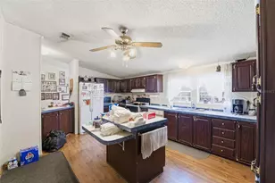 10029 Chestnut Dr, Hudson, FL 34669 - Photo 11