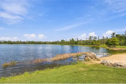 3322 Monroe Meadows Drive, Odessa, FL 33556 - Photo 65