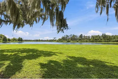 3322 Monroe Meadows Drive, Odessa, FL 33556 - Photo 57