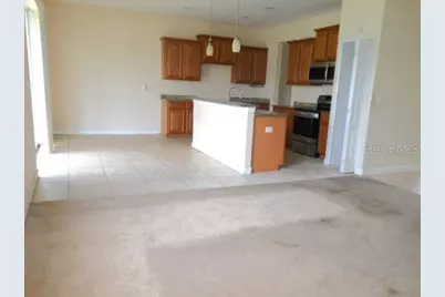 10524 Shady Preserve Drive, Riverview, FL 33579 - Photo 5