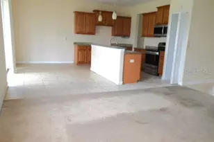 10524 Shady Preserve Dr, Riverview, FL 33579 - Photo 5