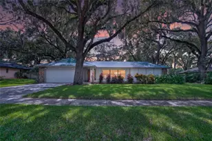 3038 Wister Cir, Valrico, FL 33596 - Photo 1