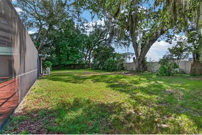 3038 Wister Circle, Valrico, FL 33596 - Photo 51