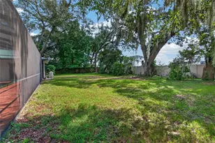 3038 Wister Cir, Valrico, FL 33596 - Photo 51
