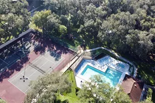 2713 11th Ct, Palm Harbor, FL 34684 - Photo 27