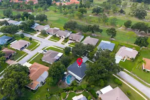 1309 Gillespie Dr, Palm Harbor, FL 34684 - Photo 47