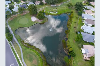 1309 Gillespie Drive, Palm Harbor, FL 34684 - Photo 49