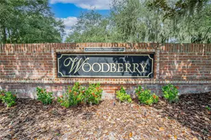 1709 Woodwatch Way, Brandon, FL 33510 - Photo 83