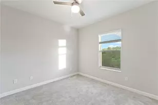 3123 Hilliard Dr, Wesley Chapel, FL 33543 - Photo 47