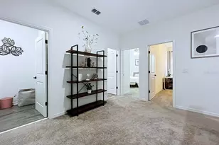 15107 Abby Birch Pl, Tampa, FL 33613 - Photo 35