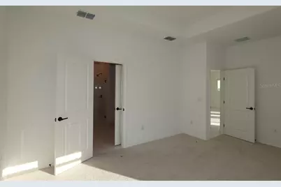 5049 Sea Branch Avenue, Apollo Beach, FL 33572 - Photo 11