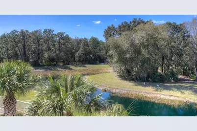 19221 Robin Perch Lane, Tampa, FL 33647 - Photo 87