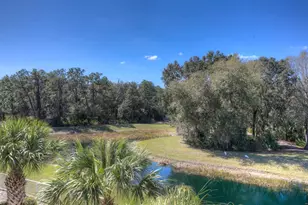 19221 Robin Perch Ln, Tampa, FL 33647 - Photo 87