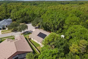19221 Robin Perch Ln, Tampa, FL 33647 - Photo 75