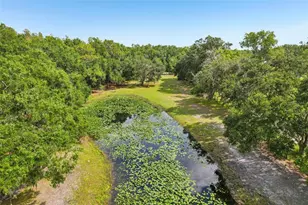5321 Bruton Rd, Plant City, FL 33565 - Photo 9