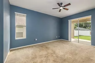 4313 Orange Ridge Ct, Valrico, FL 33596 - Photo 19