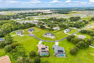 14802 Grady Sweat Ln, Wimauma, FL 33598 - Photo 69