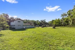 10034 Burton St, New Port Richey, FL 34654 - Photo 3