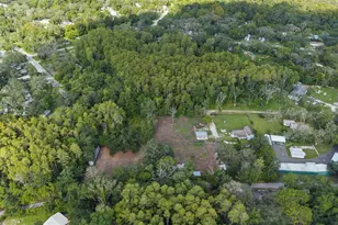 10034 Burton St, New Port Richey, FL 34654 - Photo 5