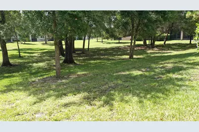 14223 Pondhawk Lane, Tampa, FL 33625 - Photo 43