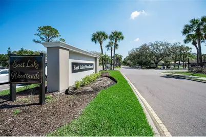 1290 Clays Trail #1403, Oldsmar, FL 34677 - Photo 43