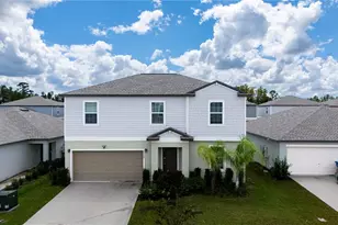 22188 Calisto Wy, Land O Lakes, FL 34637 - Photo 31