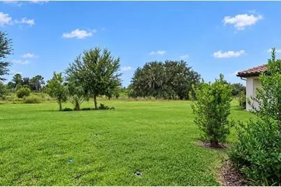 14537 Swiss Bridge Drive, Lithia, FL 33547 - Photo 33