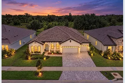 14537 Swiss Bridge Drive, Lithia, FL 33547 - Photo 1